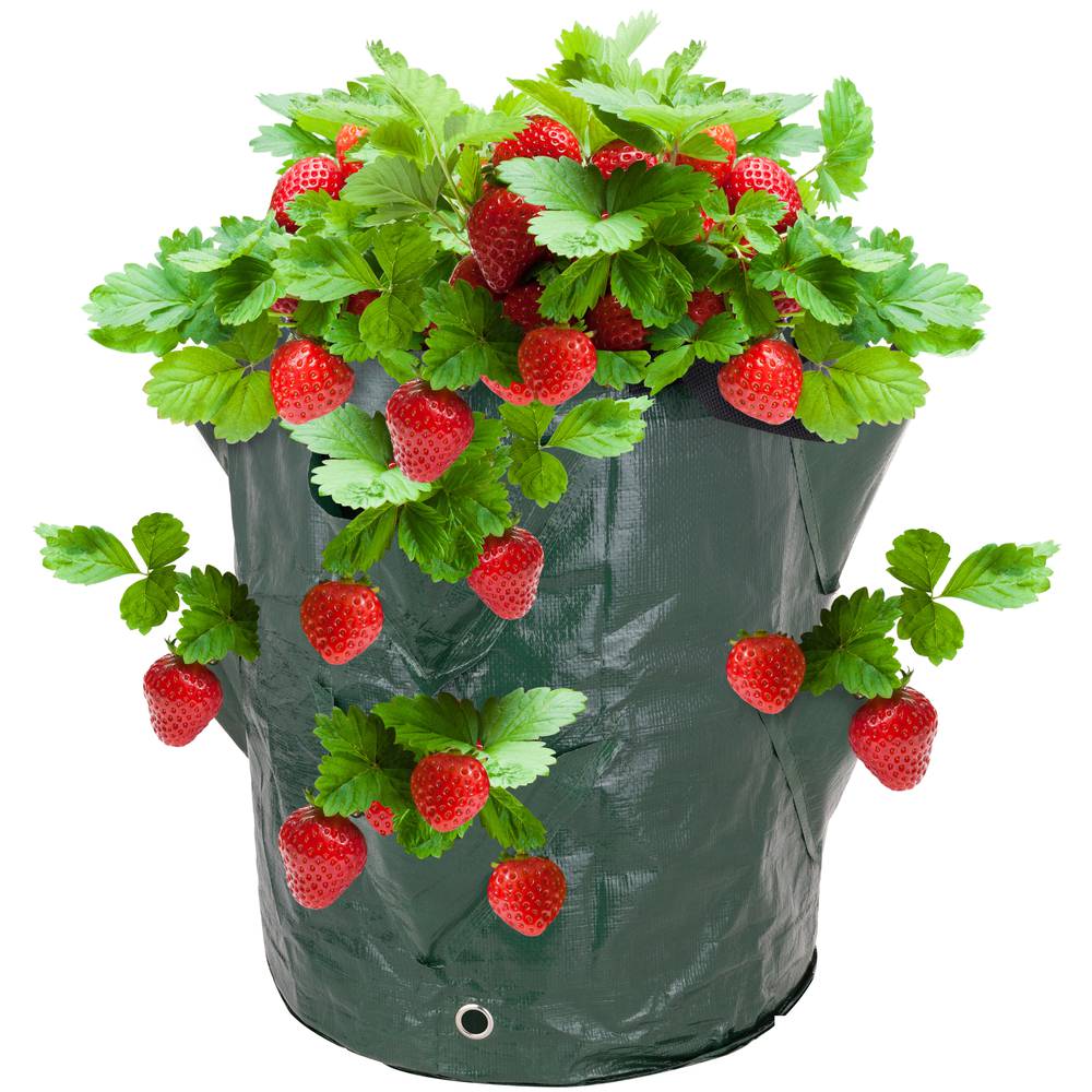 Bolsas de cultivo para jardín 35 x 45 cm 3 unidades