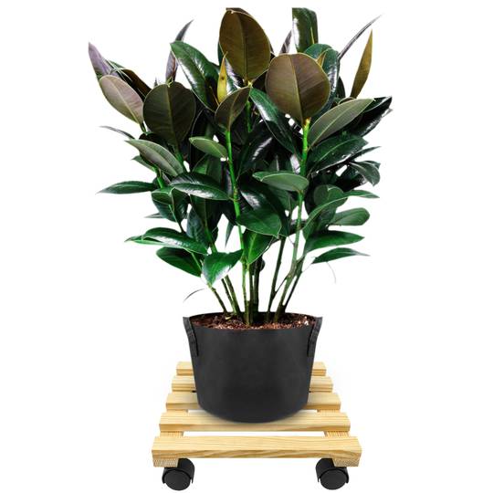 Kwadratowa drewniana platforma z kołami 30 cm
