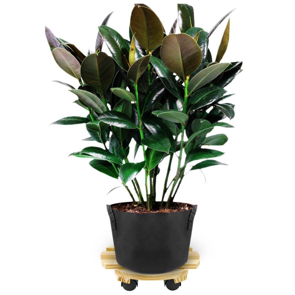 Rond houten platform met wielen 30 cm