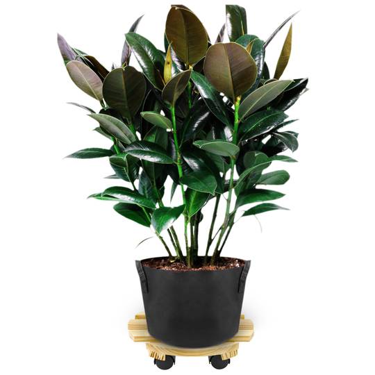 Rond houten platform met wielen 30 cm