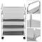 Transport trolley cart with 4 trays 55 x 31 x 80 cm