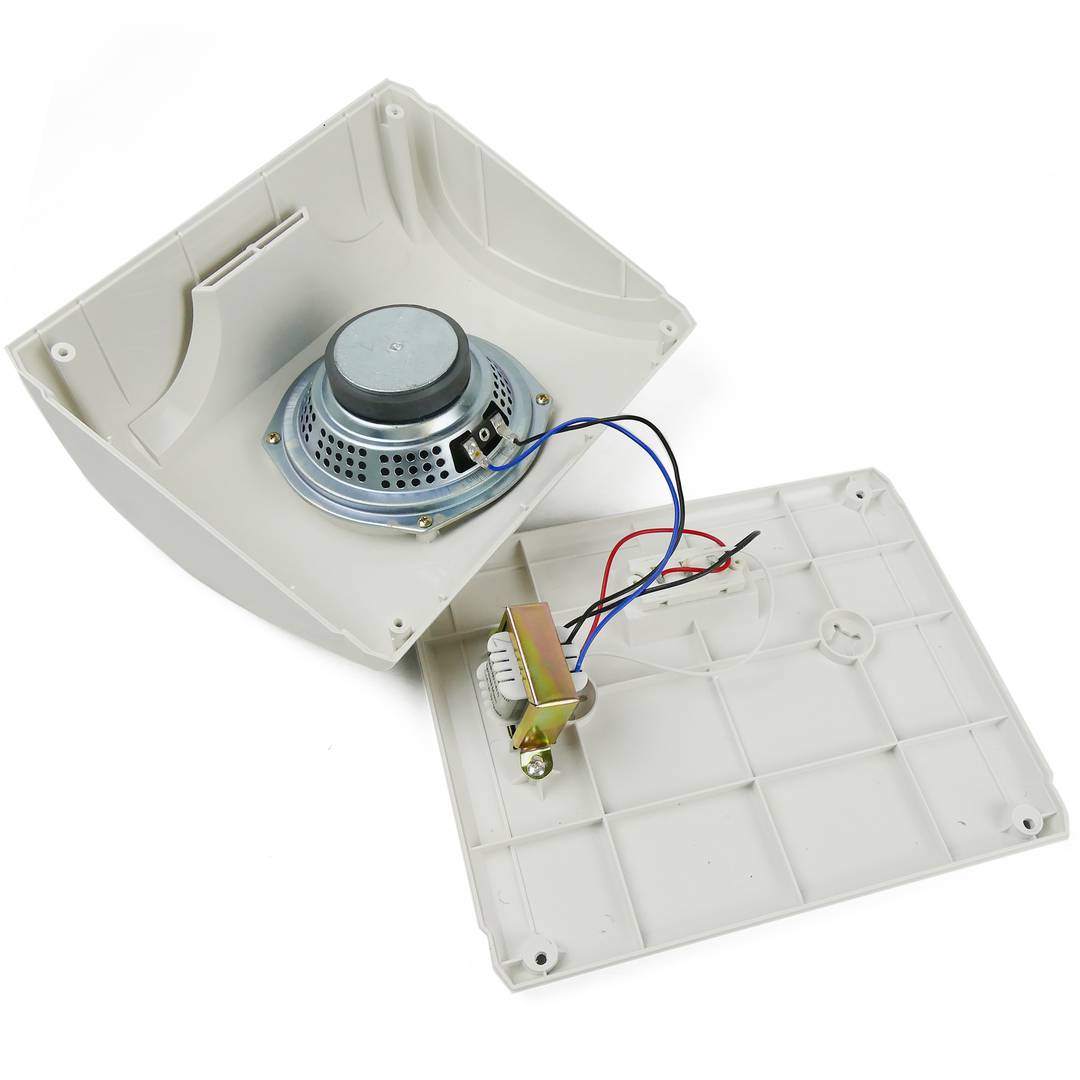 10W horizontale wandluidspreker