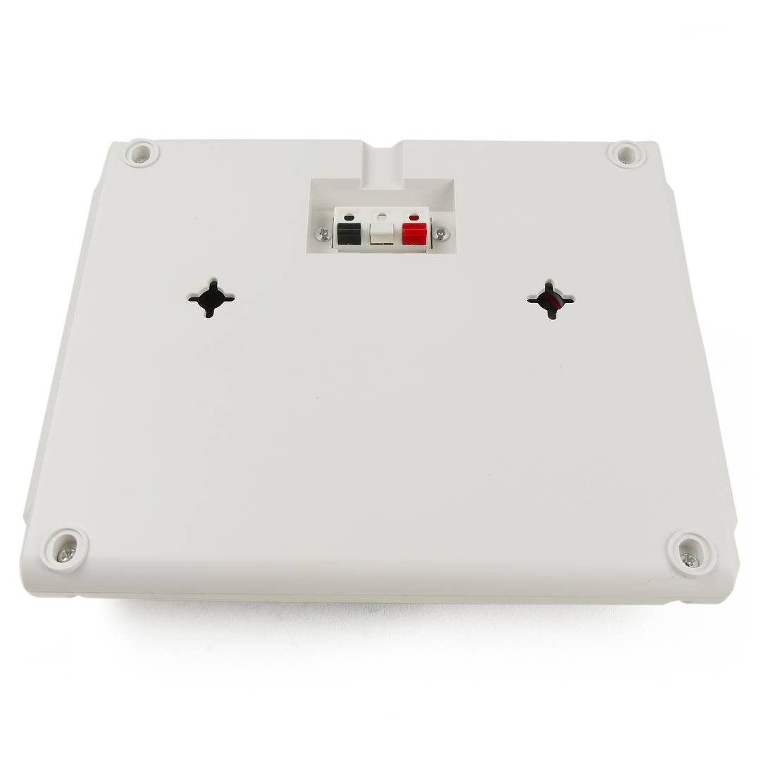 10W horizontale wandluidspreker