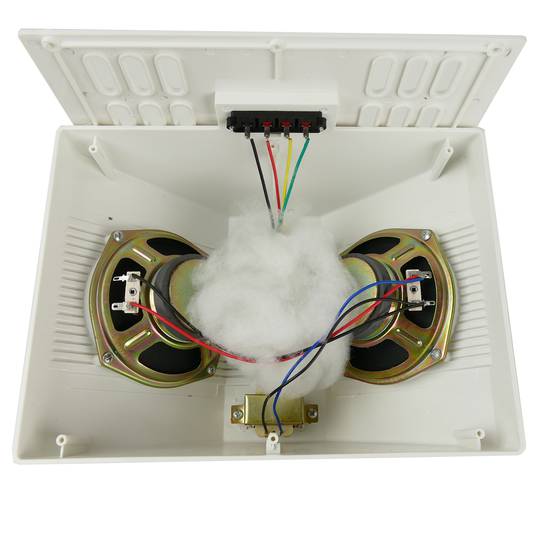 Haut-parleur mural double de 10 W