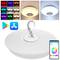 Lâmpada de teto LED RGB 30W Bluetooth com controle remoto IR e alto-falante