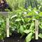 Estaques de fusta de 20cm per etiquetar plantes. Kit de 96 etiquetes i 12 retoladors