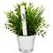 Estaques de fusta de 20cm per etiquetar plantes. Kit de 96 etiquetes i 12 retoladors