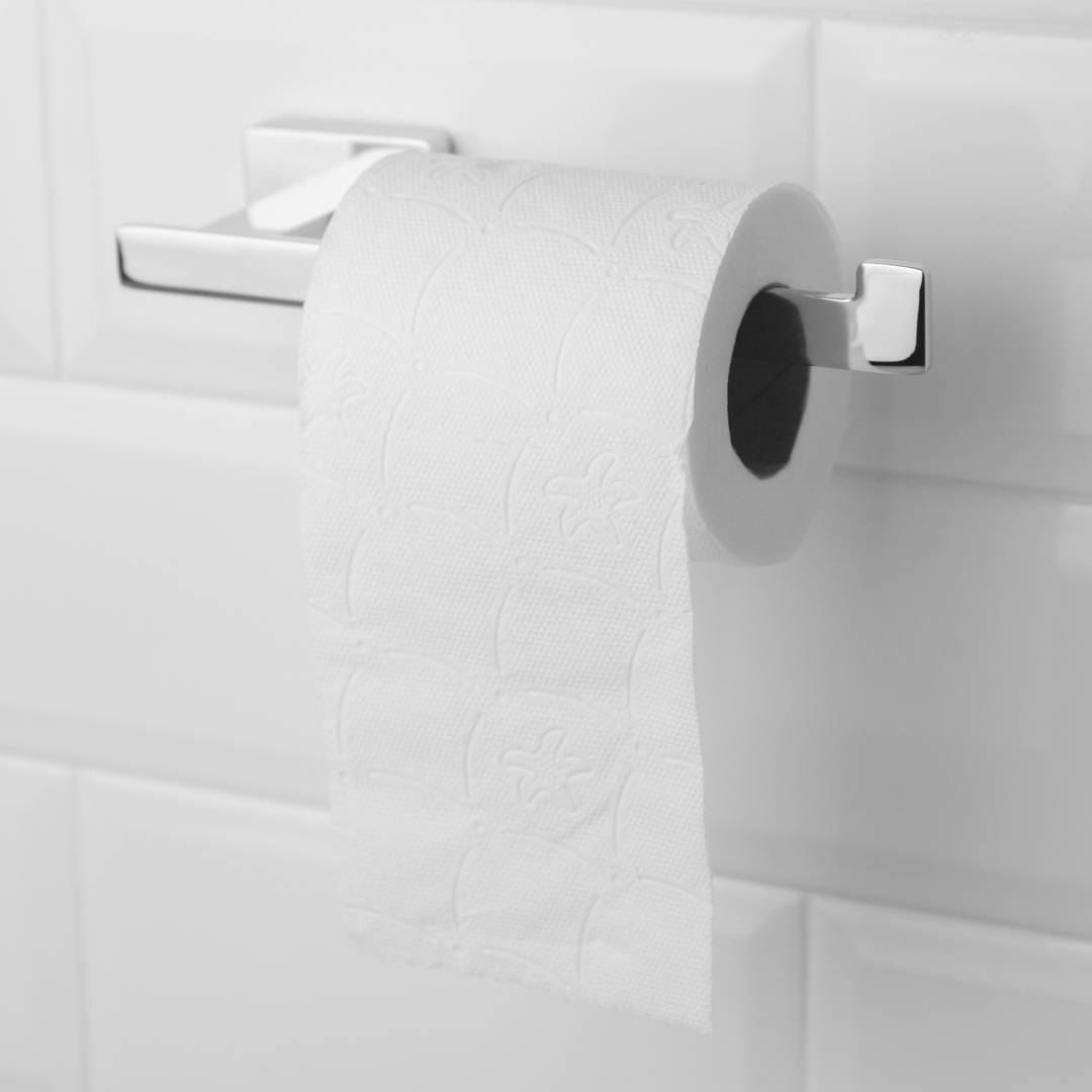 Porte papier toilette Primematik Porte papier toilette, Support papier  toilette en acier inoxydable