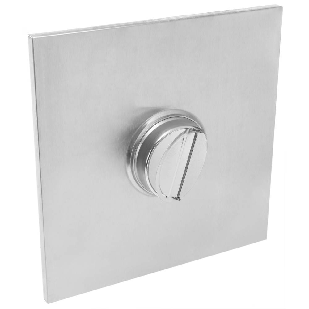 30x30cm afvoer met verwijderbaar gepolijst roestvrijstalen matte