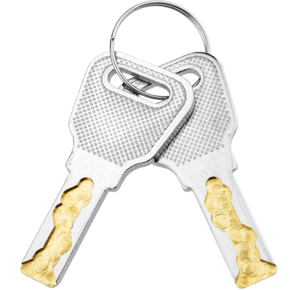 Cerradura de leva de 20mm x M18 con llave plana