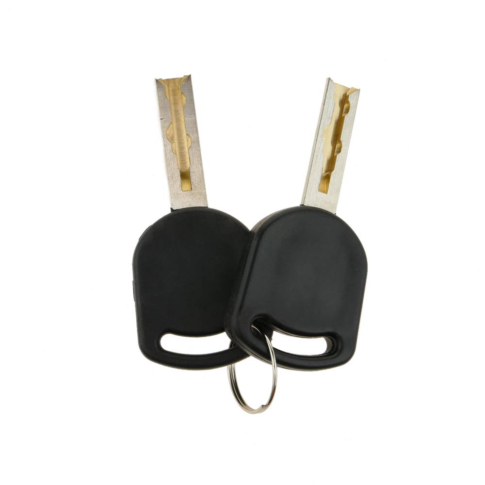 Serrure à came batteuse barillet 17mm x M18 avec clé crescent