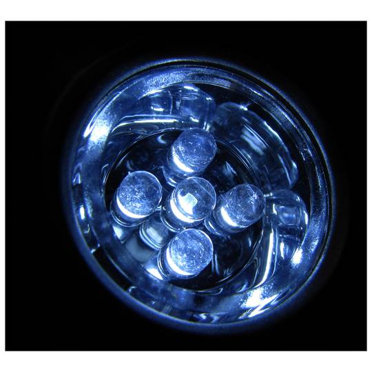 Hoge helderheid 5 LED zaklamp met zaklamp sleutelhanger
