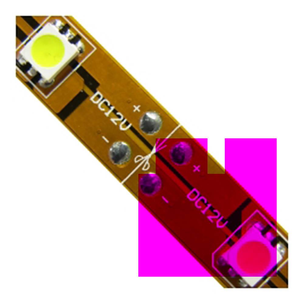 Tira de LEDs flexible 13 lm/led 30 led/m de 5m IP44 blanc intens