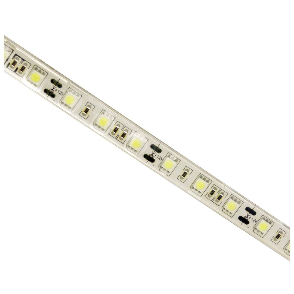 Flexible LED bande de 13 lm/LED 60 LED 5m m/Bright White IP65