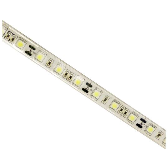 Flexible LED bande de 13 lm/LED 60 LED 5m m/Bright White IP65