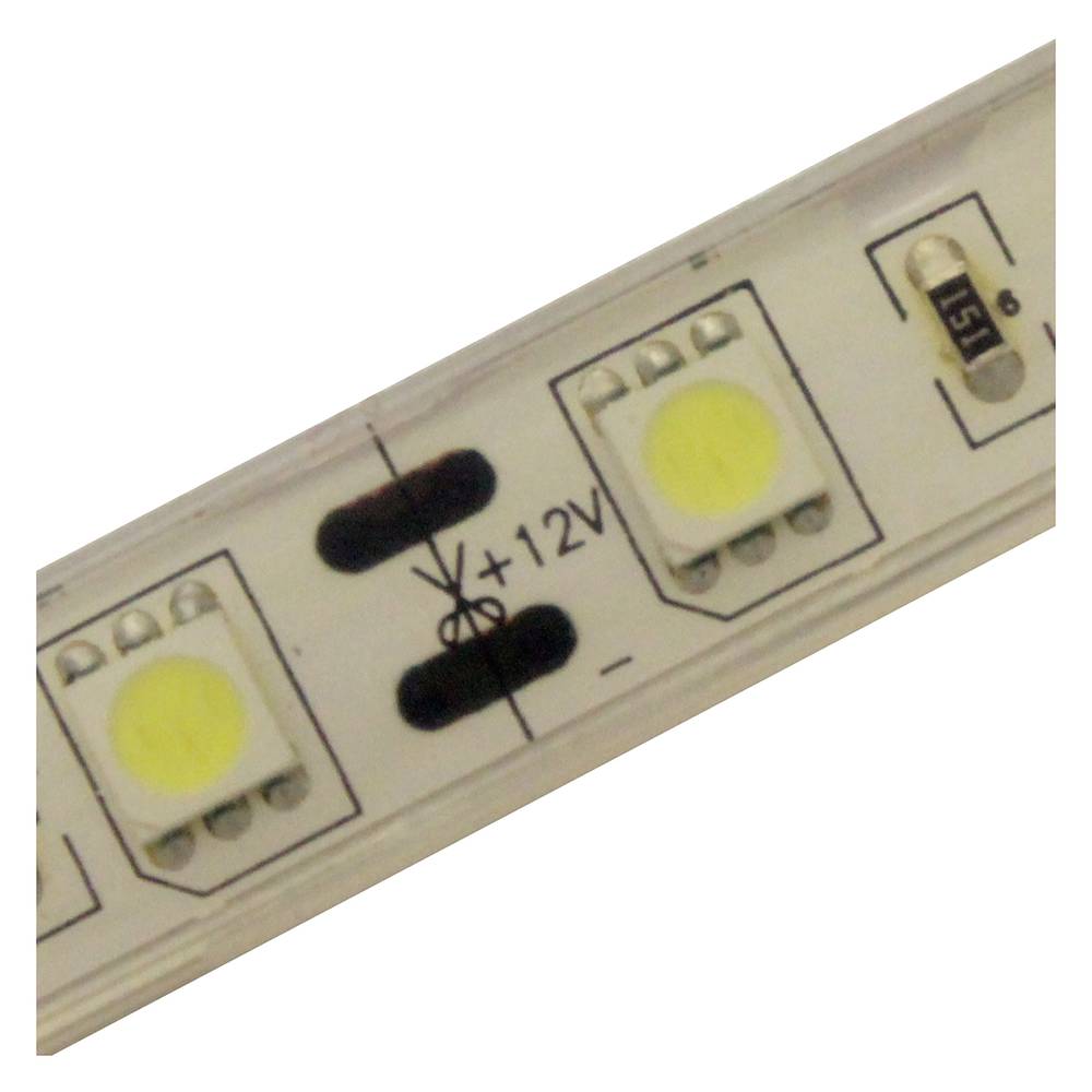 Flexible LED bande de 13 lm/LED 60 LED 5m m/Bright White IP65