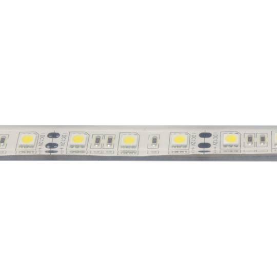 Flexibele LED-strip 13 lm / led 60 led / m 5m IP65 neutraal wit