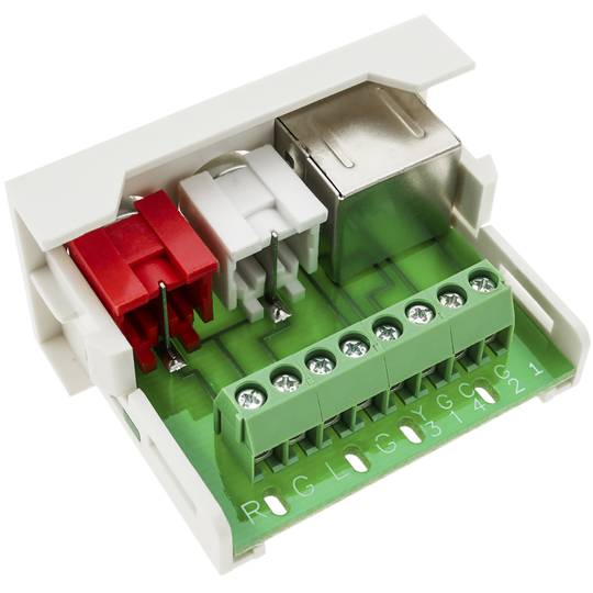 Module 45x22 5mm 2xRCA audio and SVideo