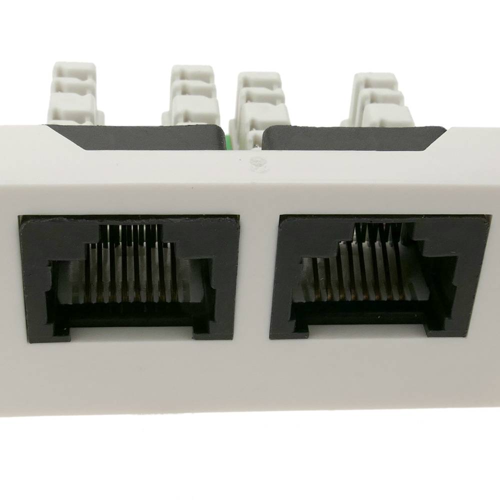 Módulo de 45x22 5mm 2xRJ45 Cat.6