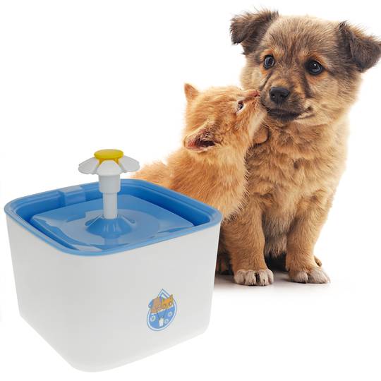 resterend Mellow Defilé Drinkbak voor honden en katten 2,5L blauw. Elektrische bron met gefilterde  pet water dispenser - Cablematic