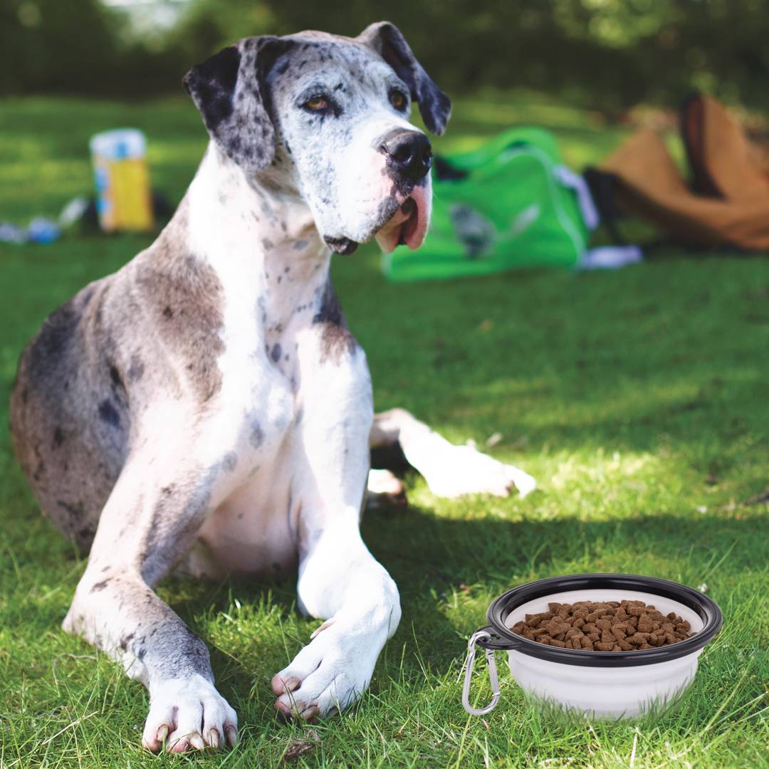 Menjadora plegable de goma per a mascotes 350 ml blanc