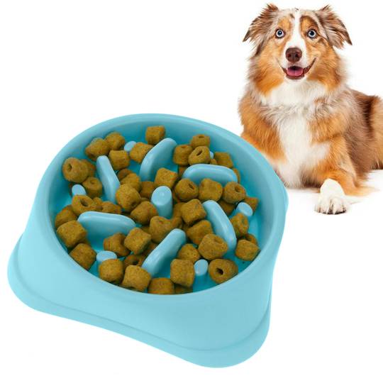 Cuenco de Mascotas a Dieta Comedero de Perro para alimentación Lenta PrimeMatik