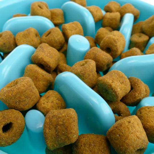 Dog feeder for slow feeding. Bowl for dietary pets