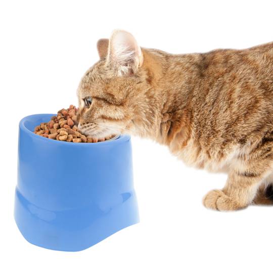 Tigela elevada para cães e gatos 14 cm