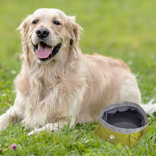 Składana wodoodporna poidło dla zwierząt