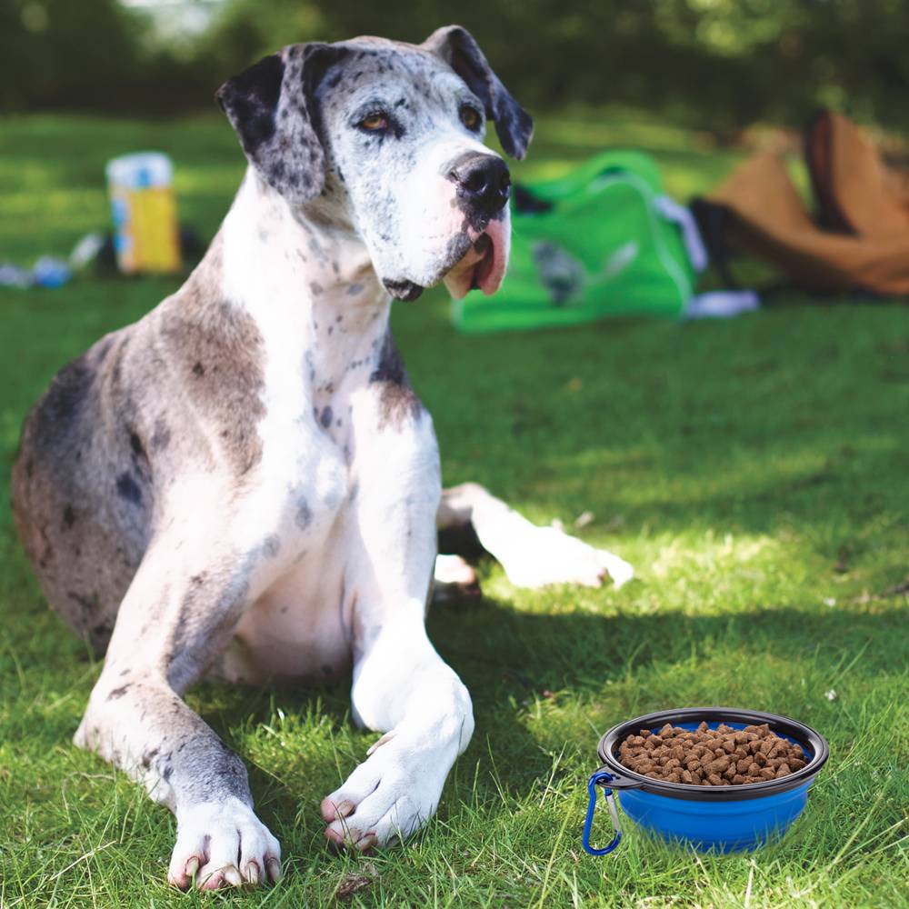 Tigela dobrável de borracha para animais de estimação 350 ml azul