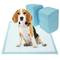 50 empapadors absorbents de 45 x 60 cm. Tovalloles d'entrenament per a gossos cadells
