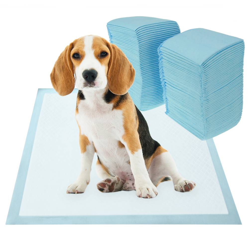 Empapadores súper absorbentes 60x60 Freedog con adhesivos – PlanetaNatura