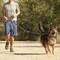 Adjustable dogs leash for jogging 160-220 cm. Elastic and reflective hands-free belt