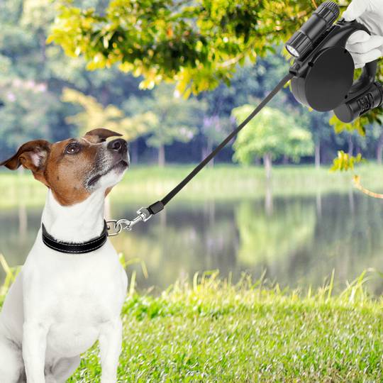 Guinzaglio estensibile nero per animali con dispenser per sacchetti