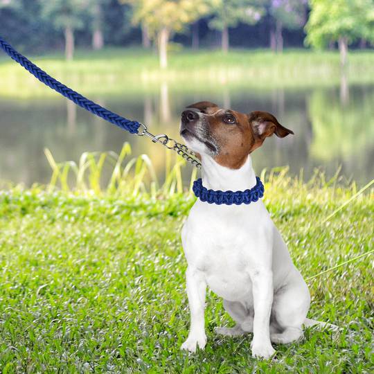 Correa trenada per a gossos talla S