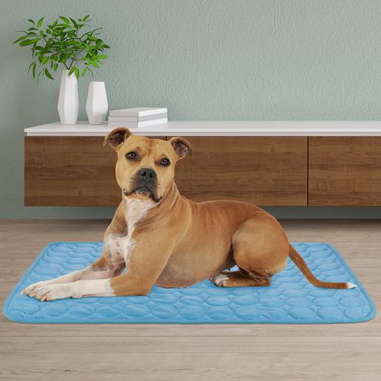 Cama de refrigeração para animais de estimação tamanho M