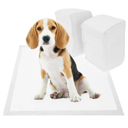 Serviettes de dressage pour chiens 100 unités 33 x 45 cm blanc