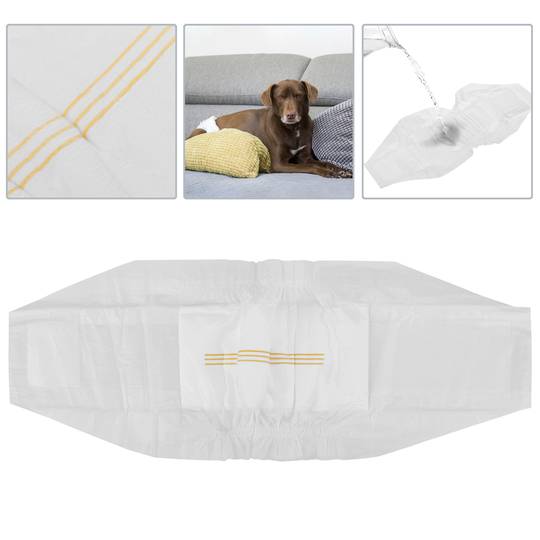 Pañales desechables para perros macho 10 unidades talla M