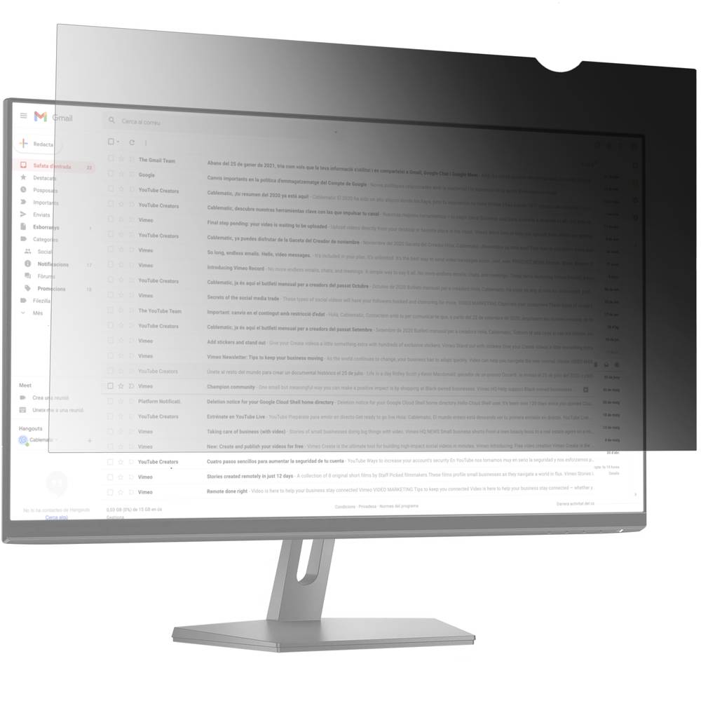 Protective privacy filter 23.0