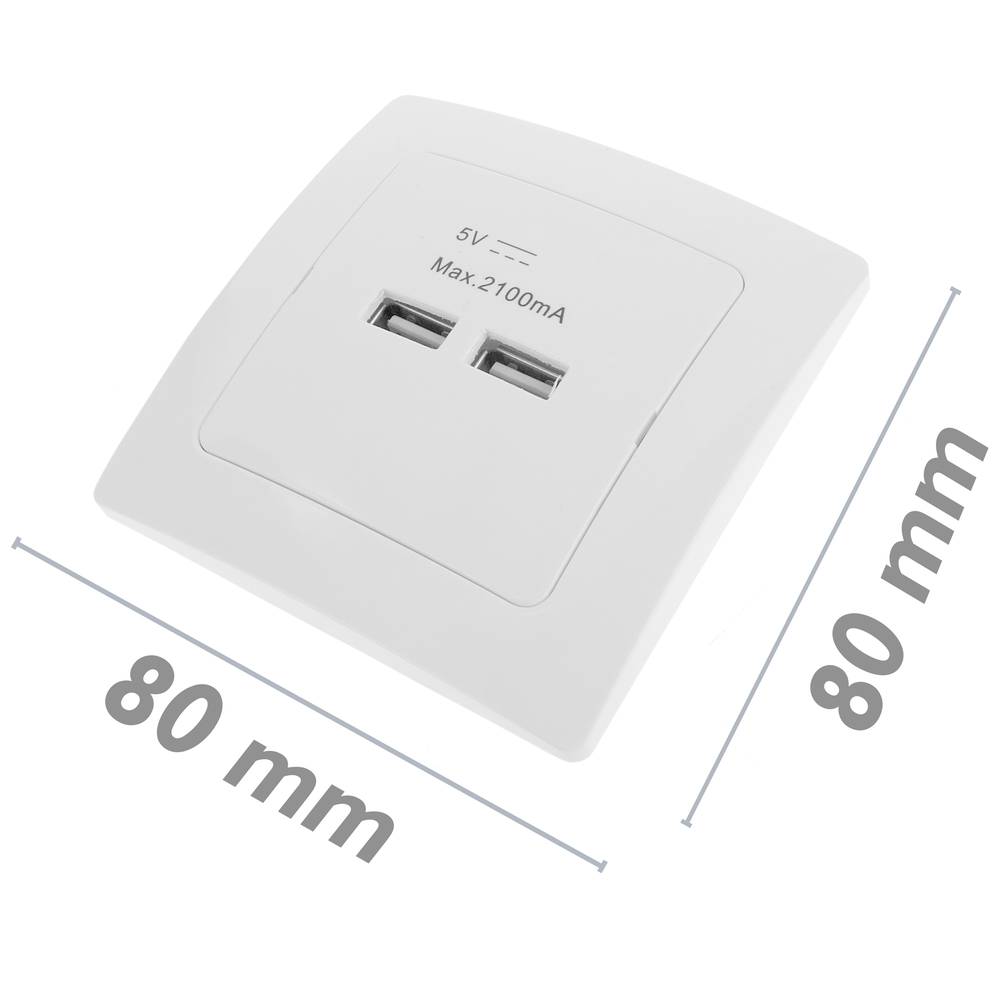Base de tomada de 2 x USB 80x80mm A fêmea para a incorporação Lille branco