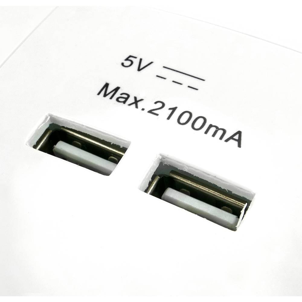 Base de tomada de 2 x USB 80x80mm A fêmea para a incorporação Lille branco