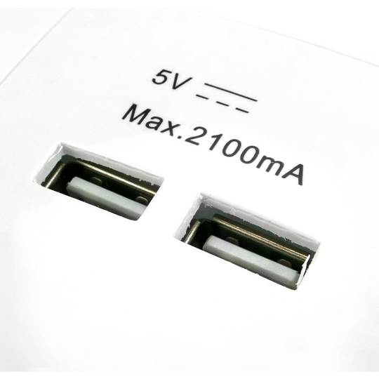 Base de tomada de 2 x USB 80x80mm A fêmea para a incorporação Lille branco