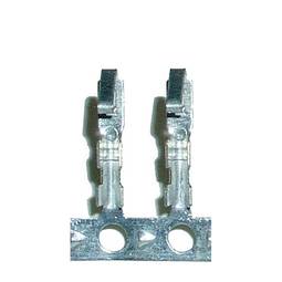 Metallico Terminal MOLEX (M connettore femmina/B) 10pin