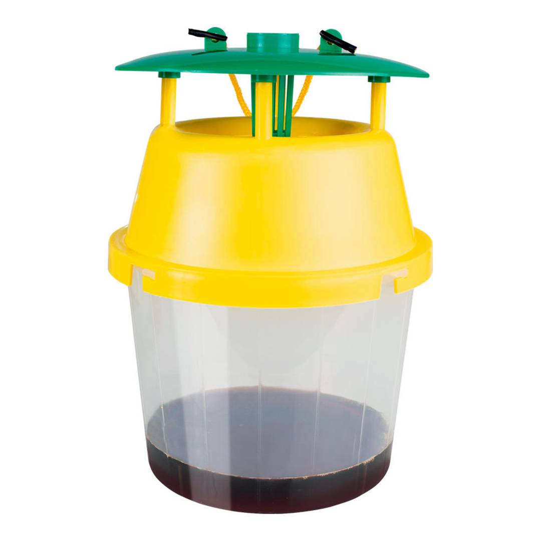 Trampa para avispa velutina asiática Massó