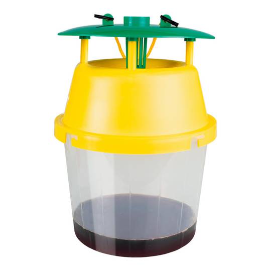 Trampa para avispa velutina asiática Massó