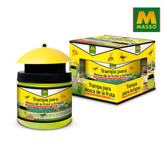 Armadilha para mosca da fruta Massó