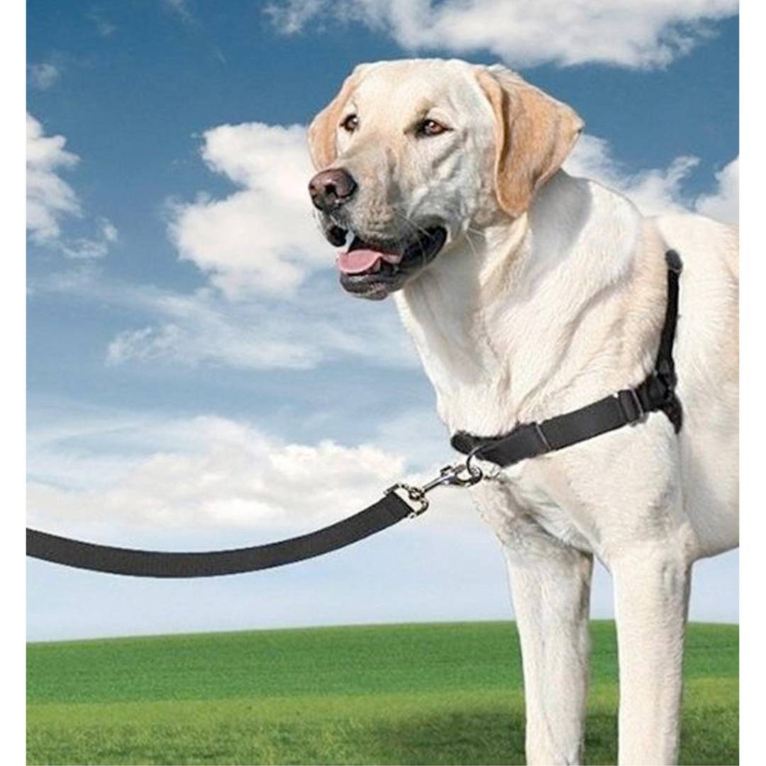 Nayeco zwart nylon harnas voor middelgrote honden