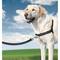 Nayeco zwart nylon harnas voor middelgrote honden
