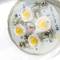 C35 LED Bulb E14 4.5W 230VAC warm light