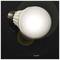 A60 Ampoule LED E27 5W 230VAC Lumière du jour